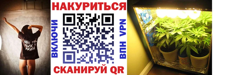 Купить наркотики цена Рязань Псилоцибиновые грибы  ГЕРОИН  МЕФ  Каннабис  Гашиш  Alpha-PVP 