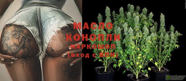индика Абдулино