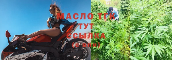 индика Абдулино
