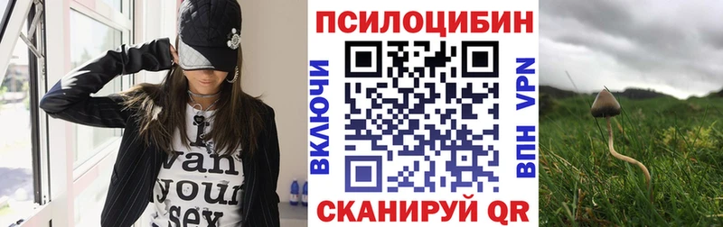 купить наркотик  Рязань  Галлюциногенные грибы GOLDEN TEACHER 
